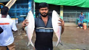 দীর্ঘ প্রতিক্ষার পর জেলেদের জালে ঝাঁকে ঝাঁকে ইলিশ